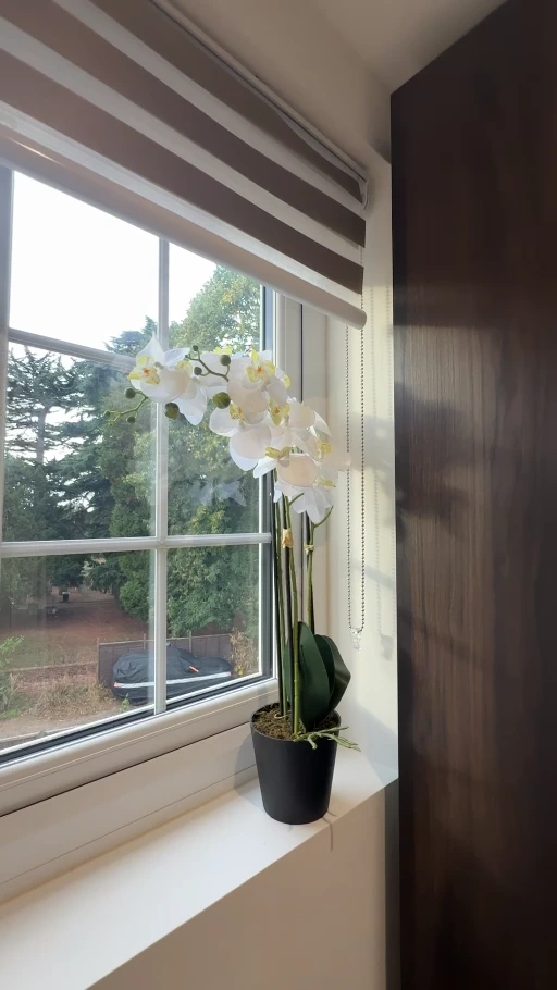 Daylight beside white window trim and a painted window ledge